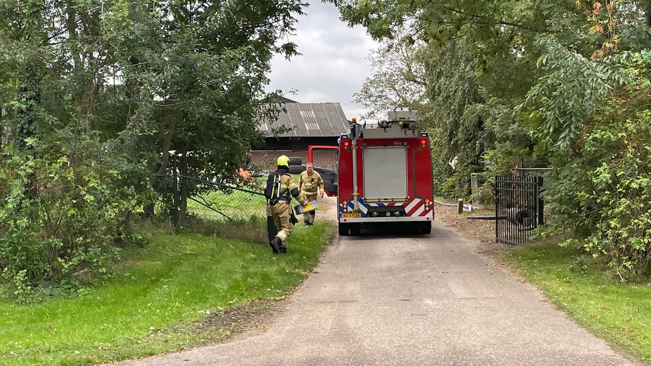 Bij een voerkuil bij een boerderij in Zeeland hing blauwzuurgas (foto: Marco van den Broek/SQ Vision).