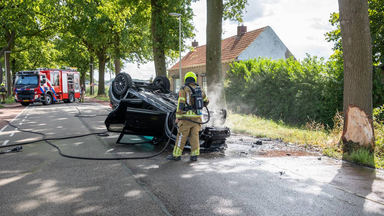 Ook de boom raakte beschadigd (foto: Christian Traets/SQ Vision).