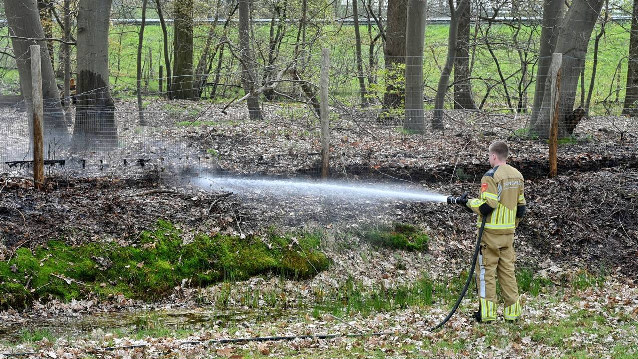 Foto: Toby de Kort/SQ Vision.