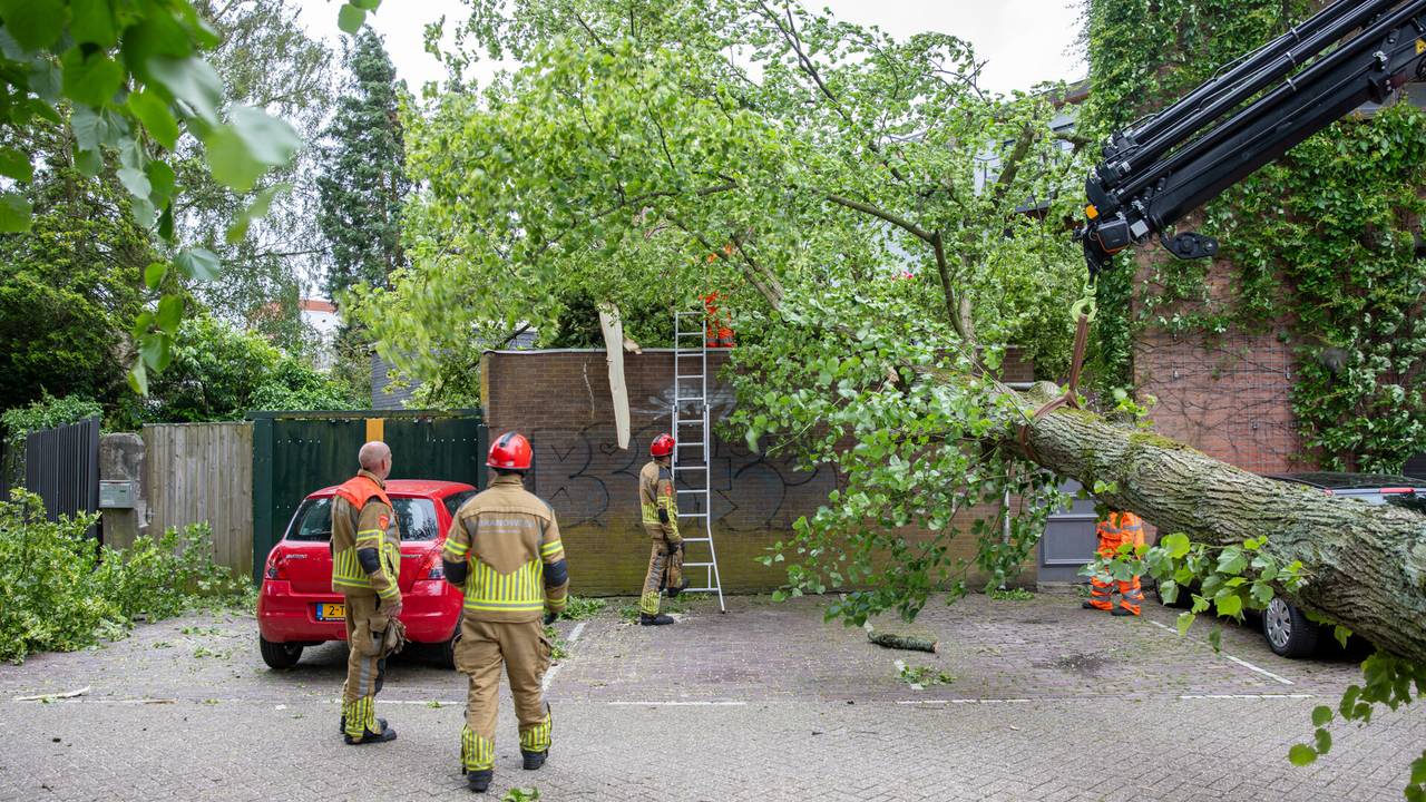 Omgewaaide boom in Roosendaal (foto: Christian Traets/SQ Vision).