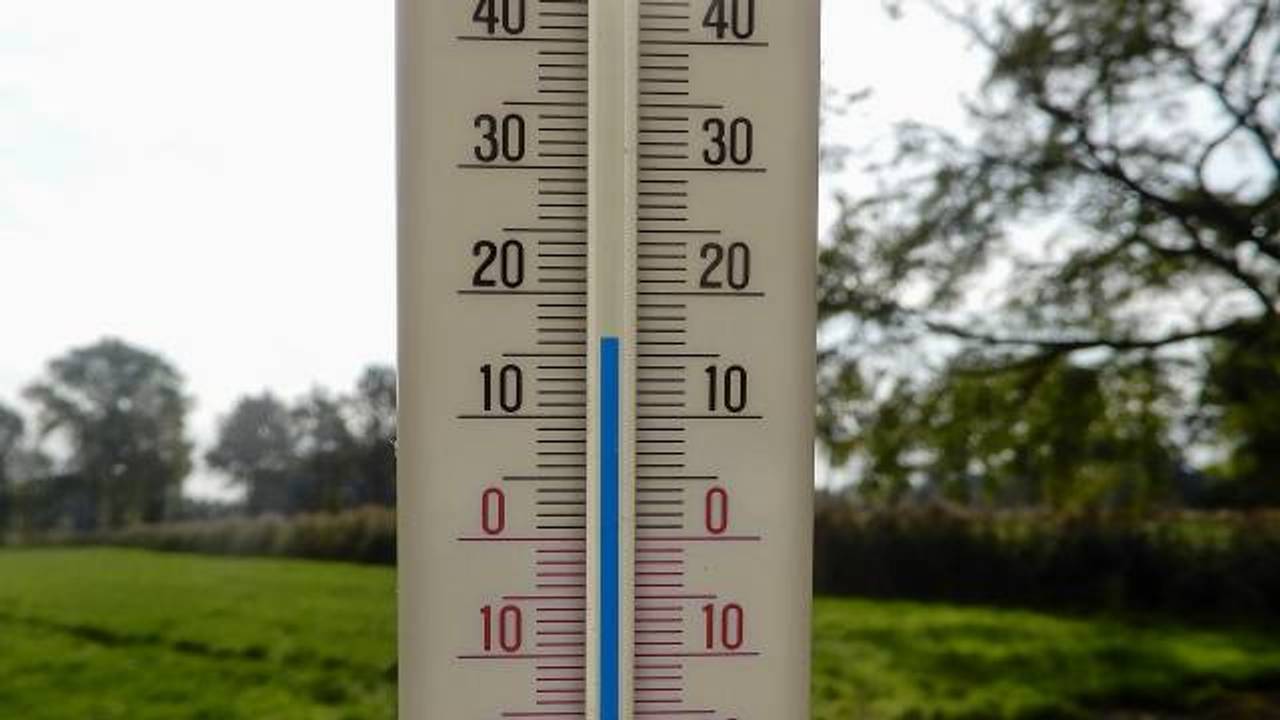 Het kan ruim 11 graden worden (foto: Peter van der Sloot).