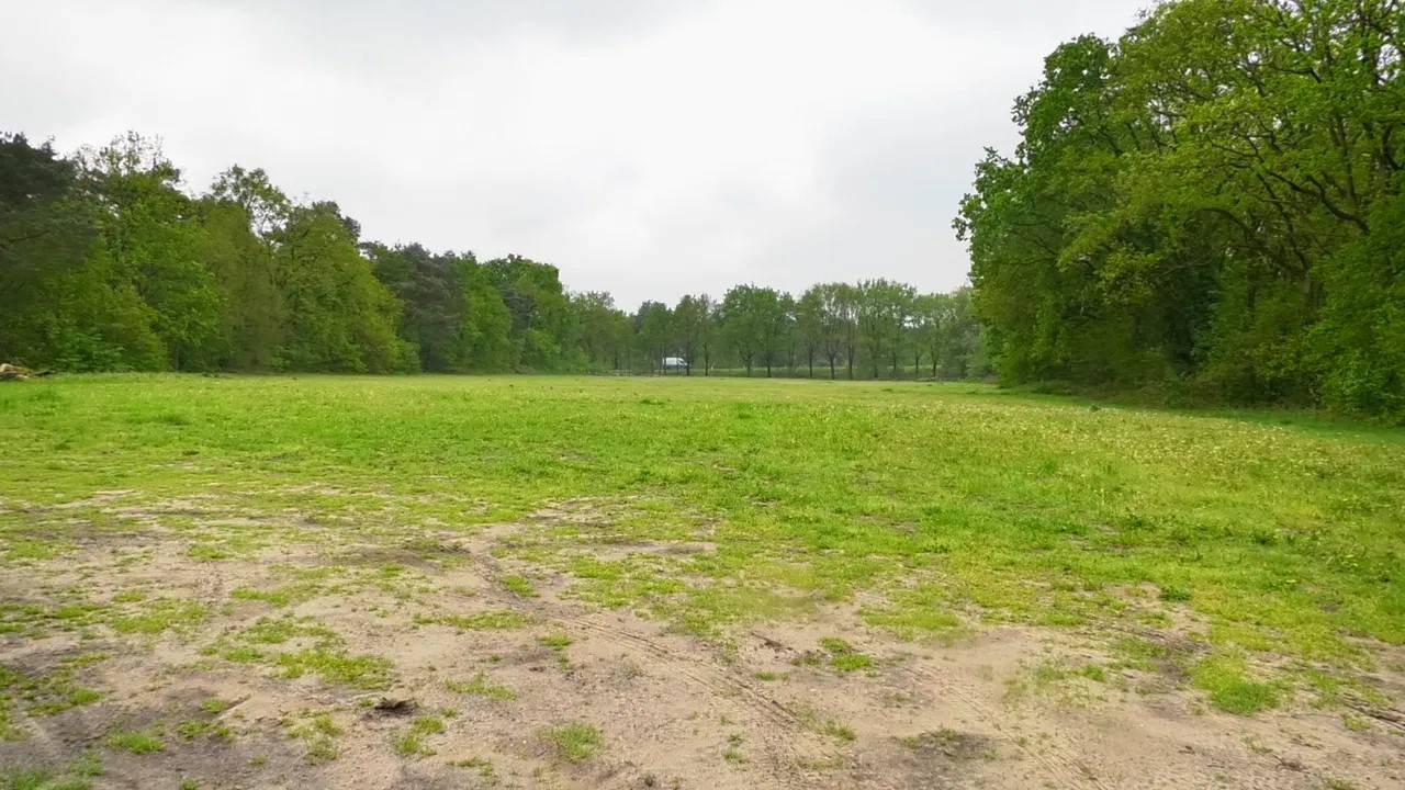 Hier moet het gaan gebeuren.