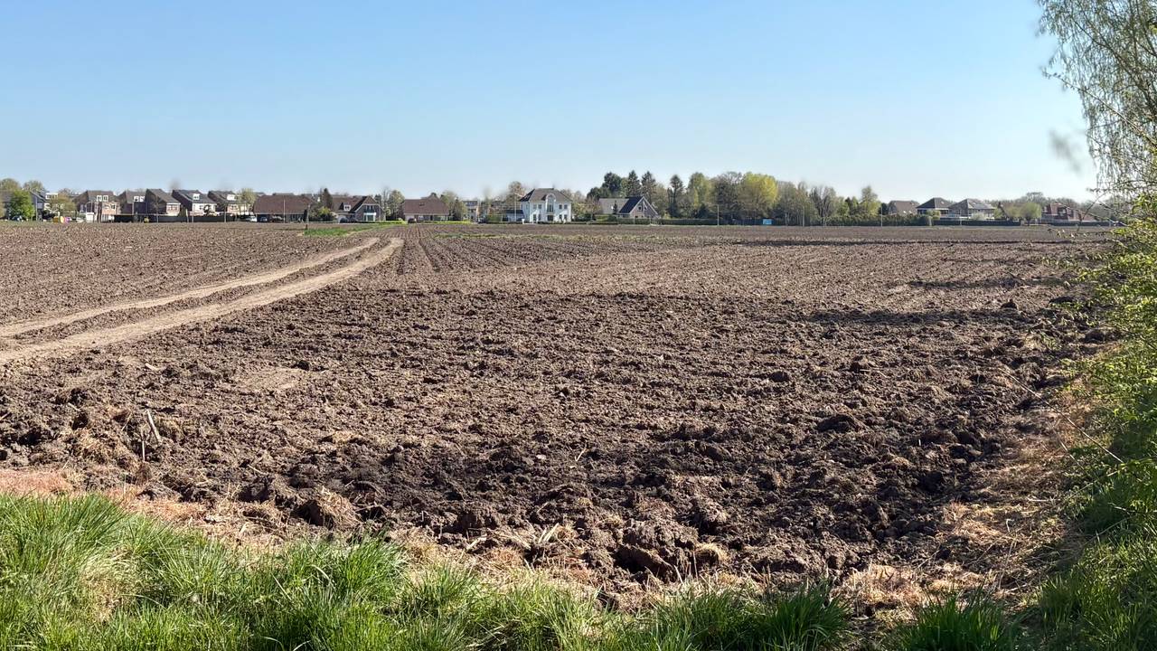 De plek waar het nieuwe ziekenhuis moet komen (foto: Erik Peeters).