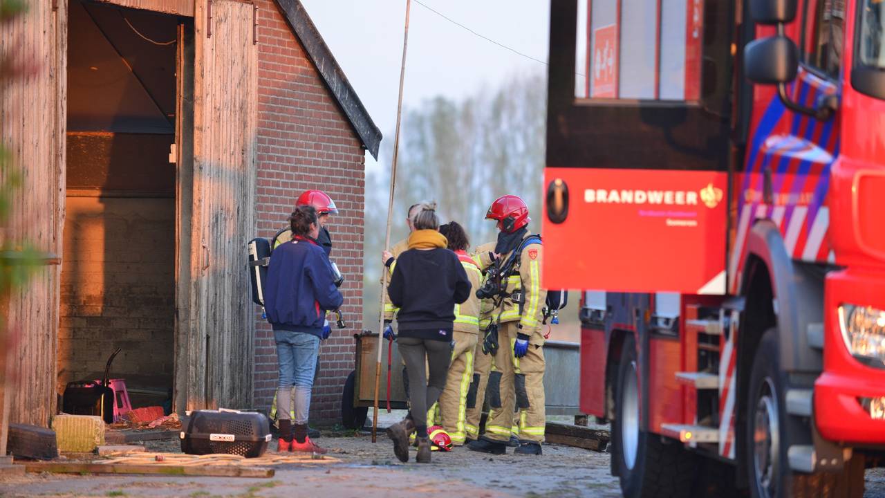 Foto: Johan Bloemers / SQ Vision