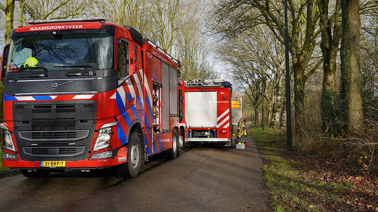 De brandweer werd ingeschakeld om de tak in stukken te zagen (foto: Jeroen Stuve/SQ Vision).