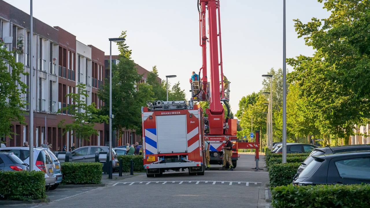 Foto: Tom van der Put / SQ Vision