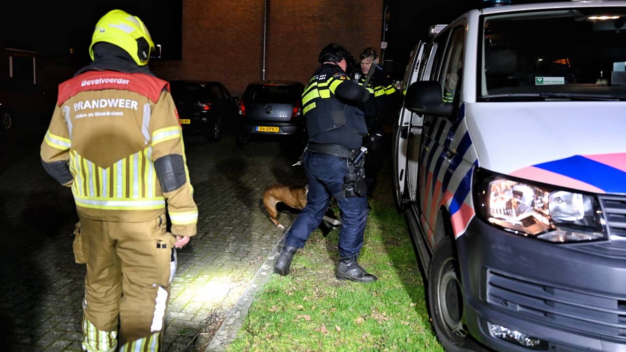 De hond van het slachtoffer wordt in een politiebusje gezet (foto: SQ Vision).