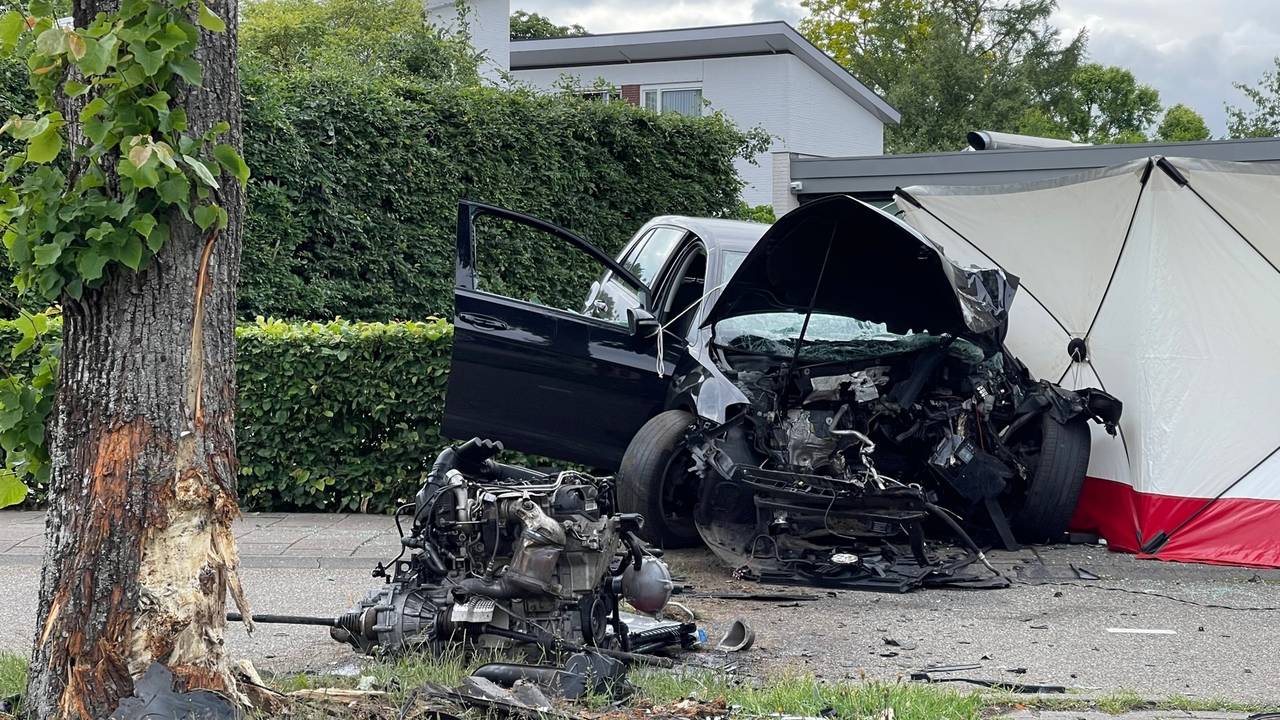 Bestuurder van auto overleden na botsing tegen boom.