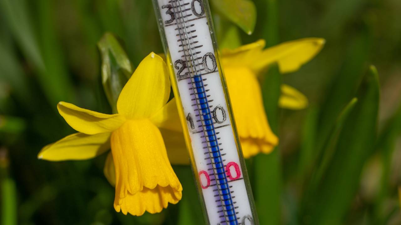 Dinsdag kan het 20 graden worden (Foto: Ab Donker).