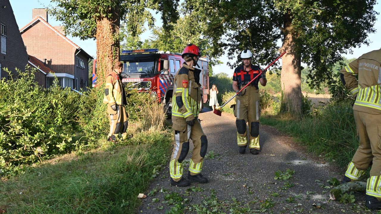 Foto: Perry Roovers / Persbureau Heitink