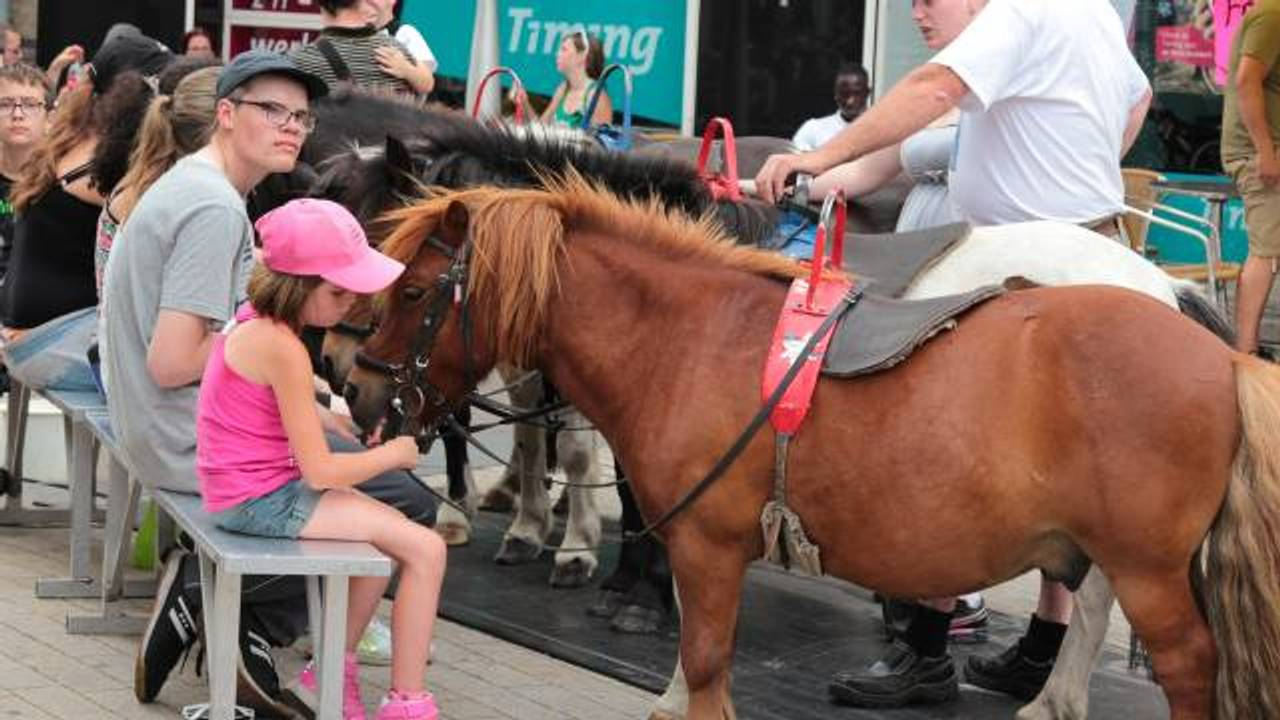 Gli animali non sono più i benvenuti alla Fiera di Tilburg