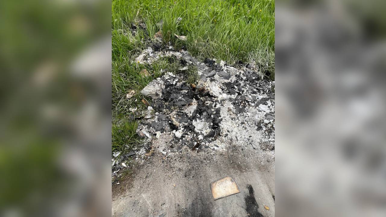 De resten van de minibieb op de dijk in Lithoijen (Foto: Till Willems).