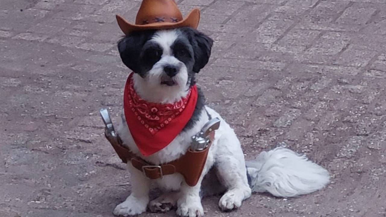 Foto: Kim van Swaemen/Facebook