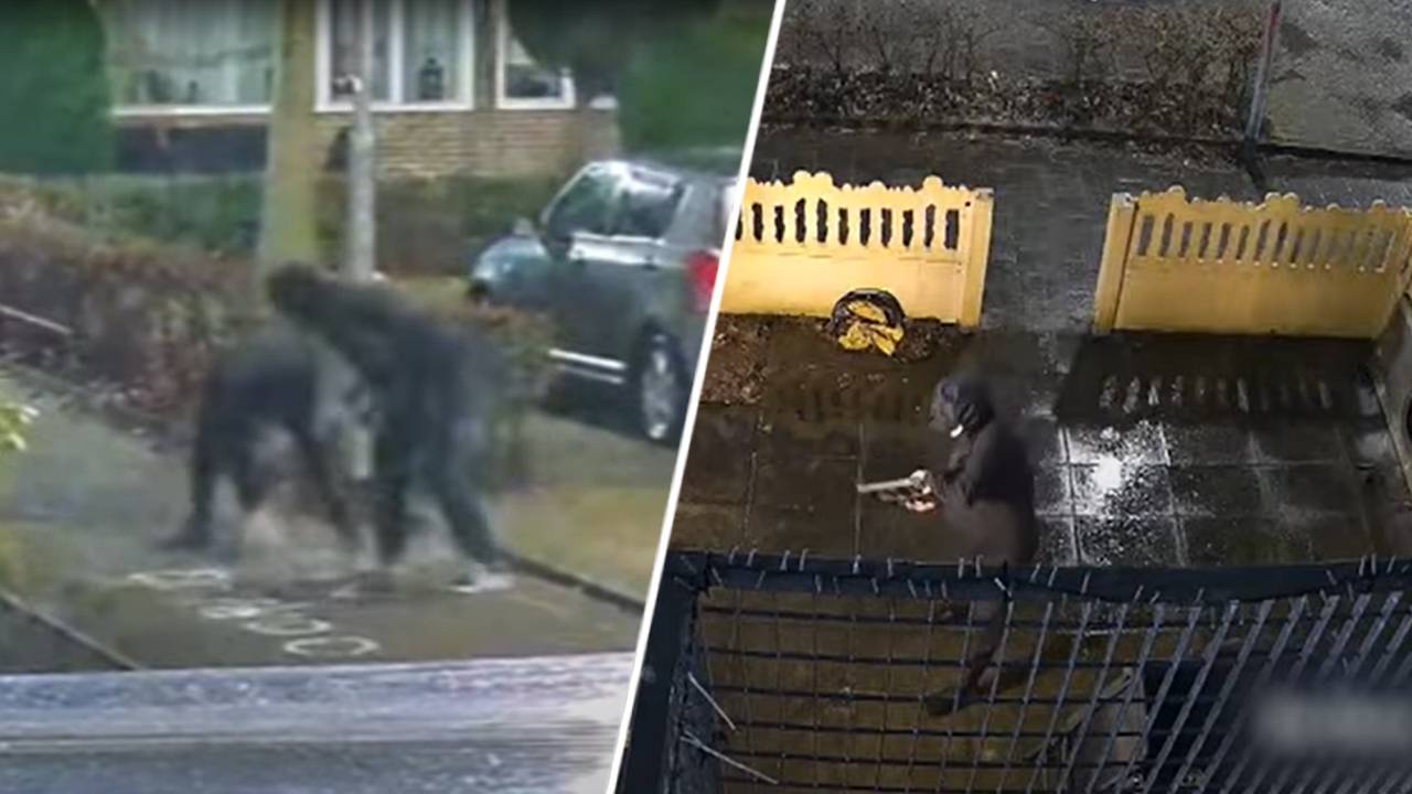 In januari en februari was het weer raak op de Leyhof (beeld: Opsporing Verzocht/AVROTROS).