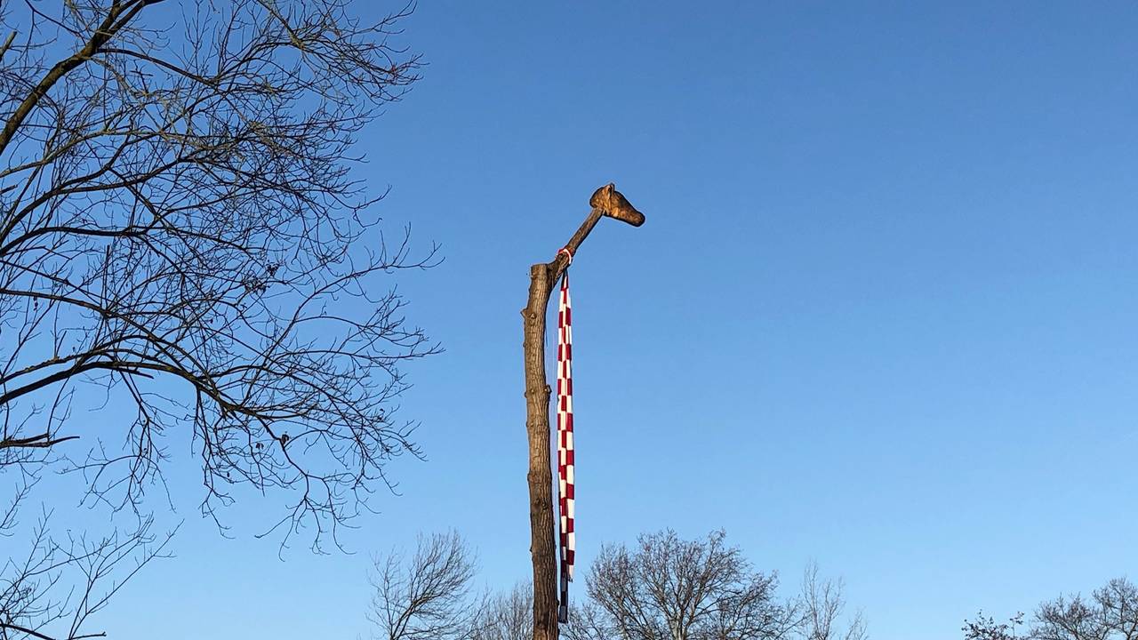 Een meterslange sjaal voor de populier.