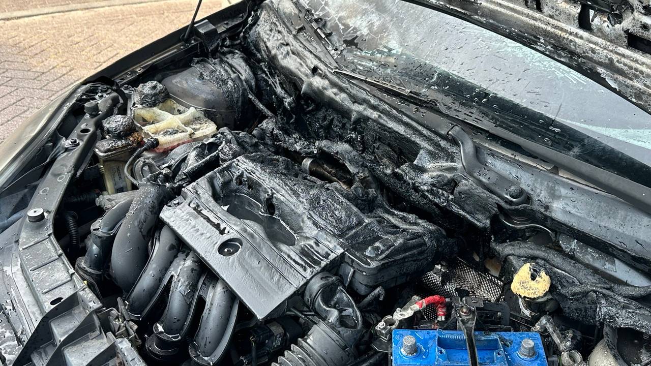 Foto: Sander van Gils/SQ Vision.