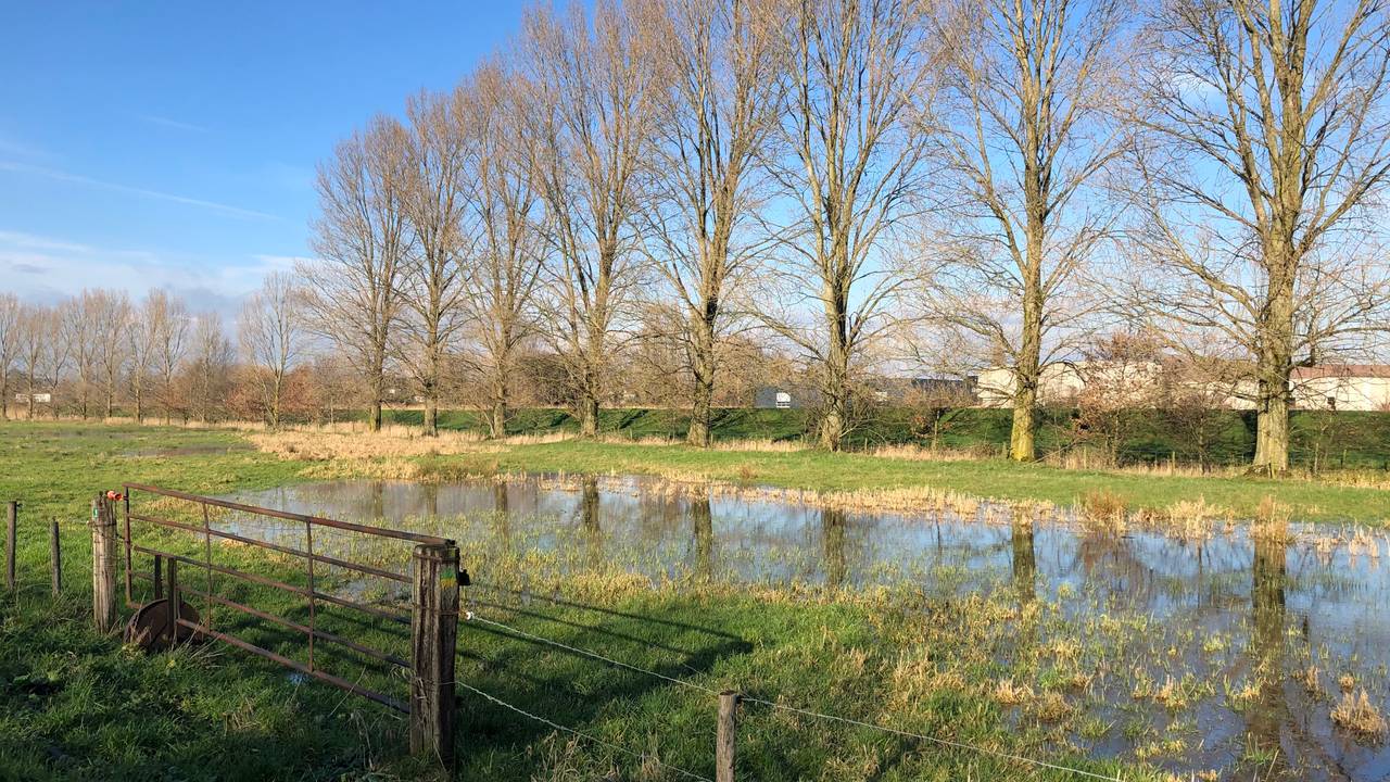 Regenwater moet meer dan nu de kans krijgen in de bodem weg te zakken.