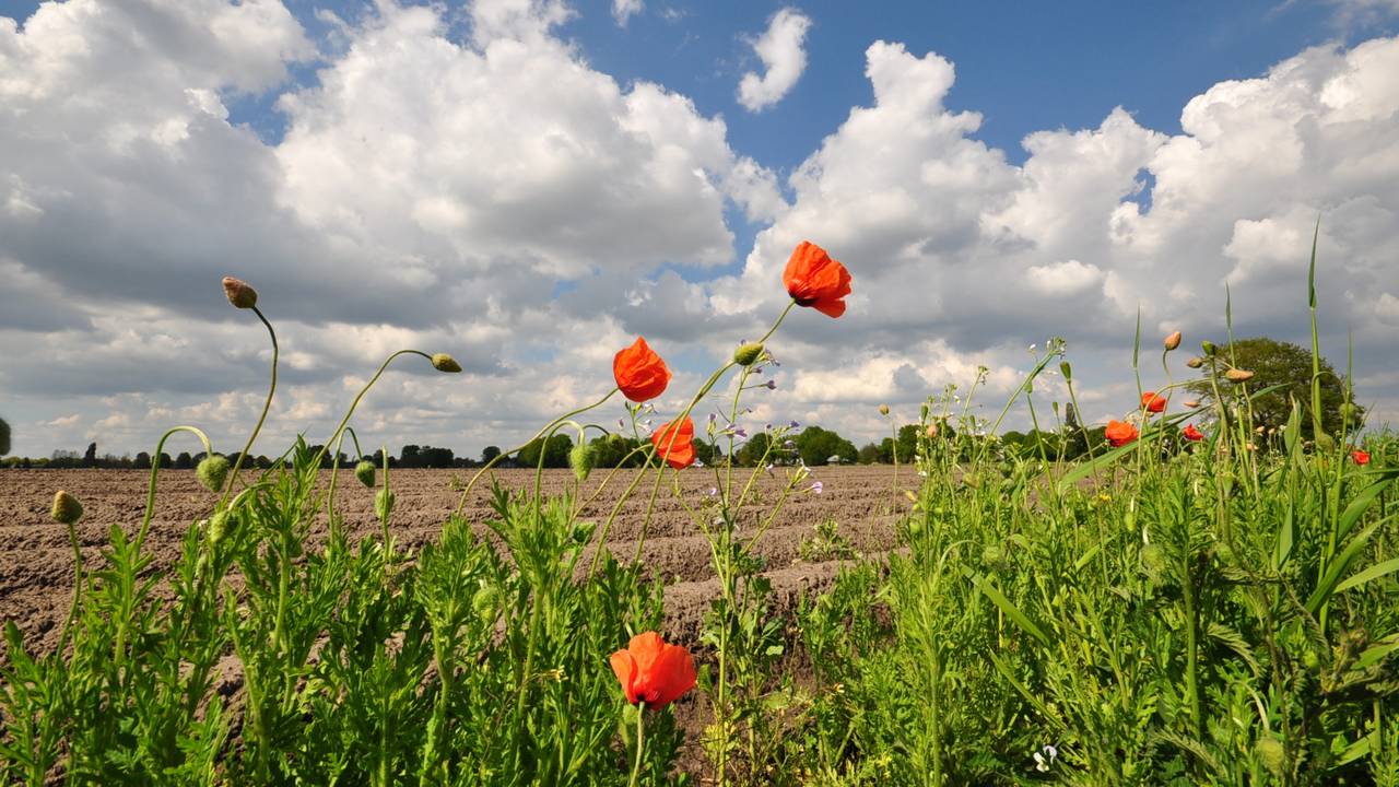 Natuurvriendelijke landbouw