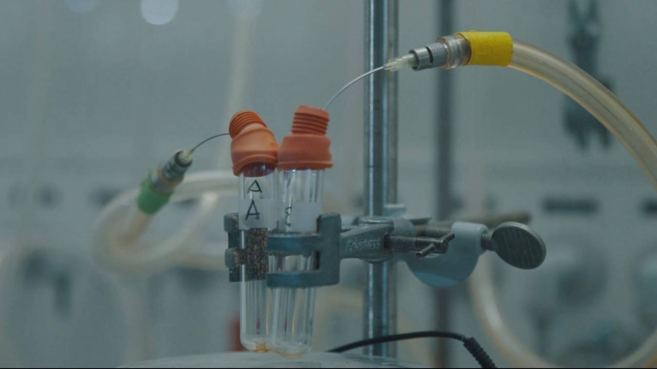 De uitvinding van een kankermedicijn maakte Acerta Pharma wereldberoemd