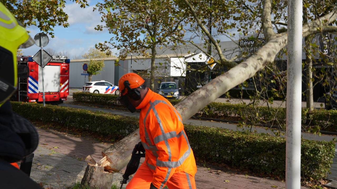 Brandweer zaagt gevaarlijke boom om in Kaatsheuvel