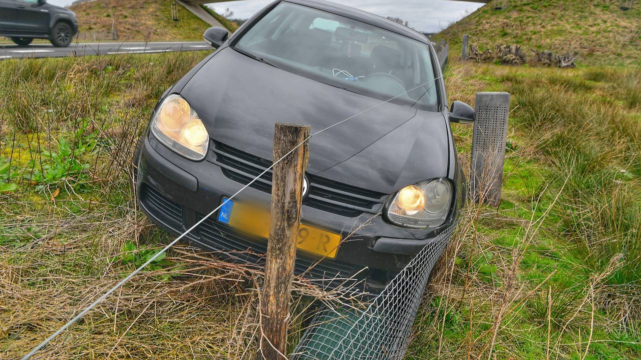 Foto: Rico Vogels / SQ Vision.