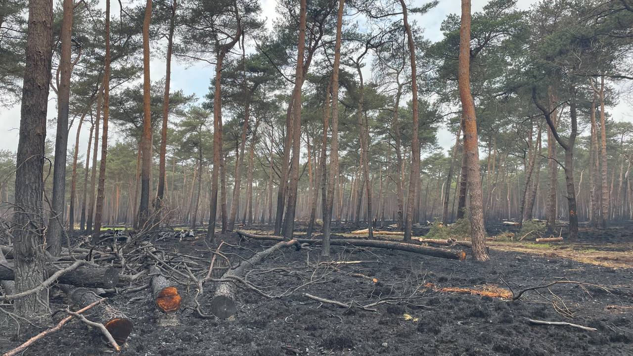 Bosbrand Loonse en Drunense Duinen (foto: Imke van de Laar).
