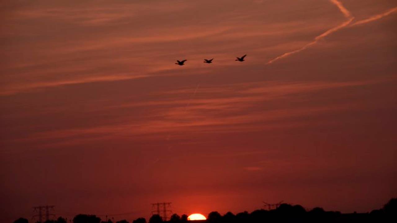 Een asrode zonsondergang. (Foto: Glenn Aoys / Twitter)