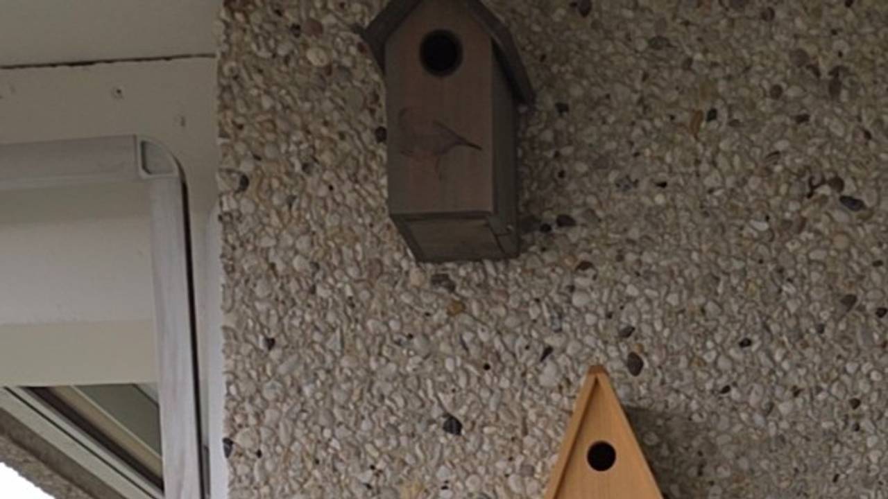 Vogelkastjes (foto: Annelies van de Wier-Vroomen).