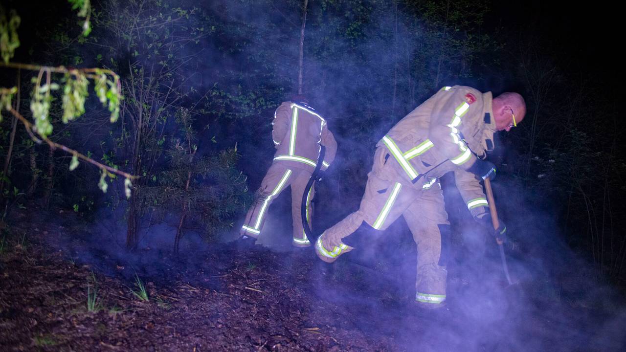 Foto: Walter van Bussel / SQ Vision.