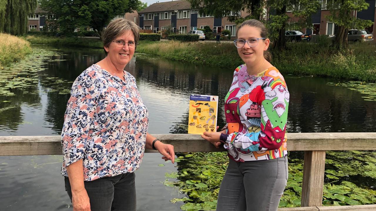 Kikkers zorgen voor gespreksstof in Vught.