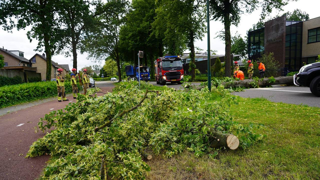 Omgevallen boom in Dongen (foto: Jeroen Stuve/SQ Vision).