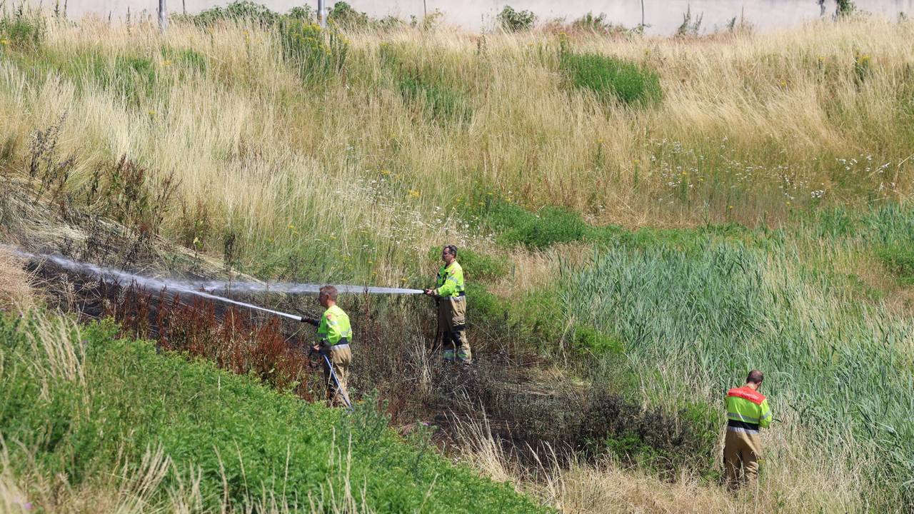 Foto: Sander van Gils/SQ Vision