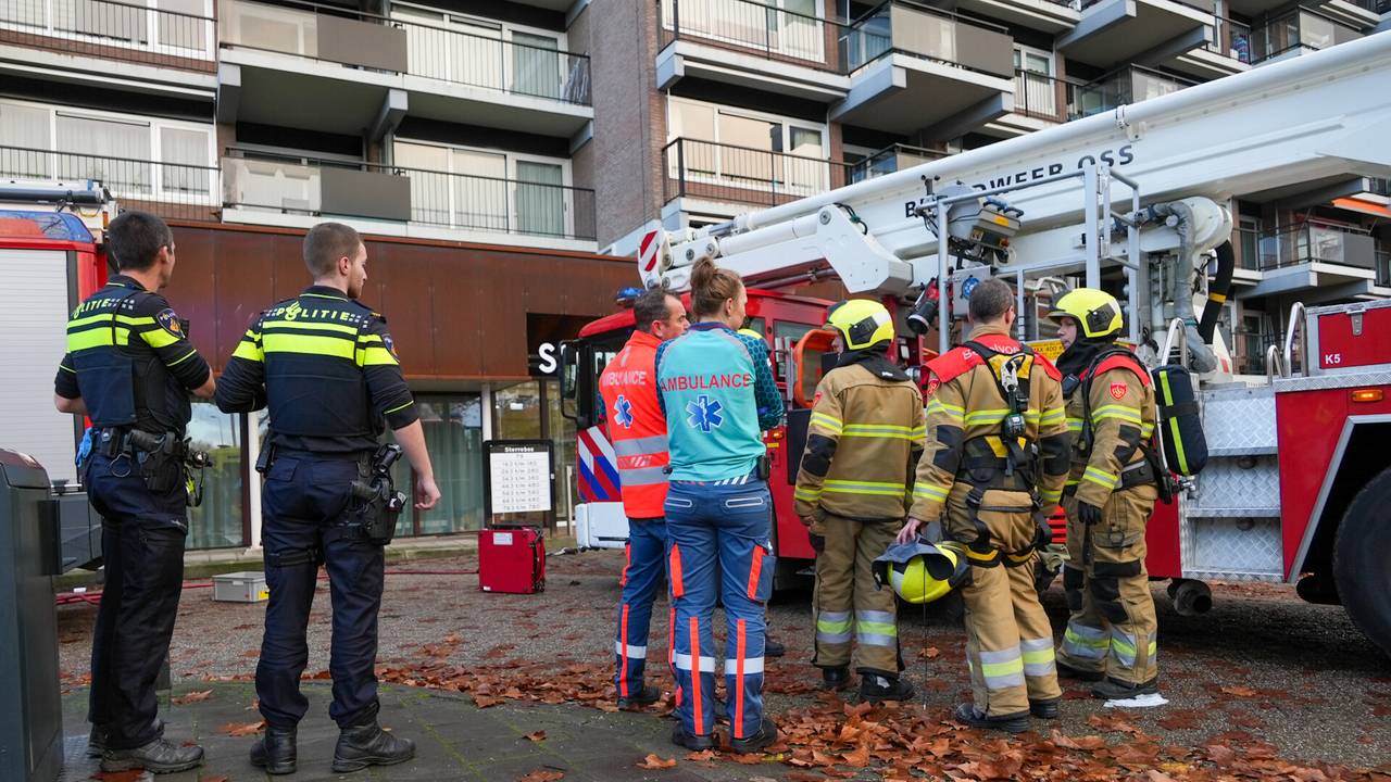 Foto: Gabor Heeres / SQ Vision