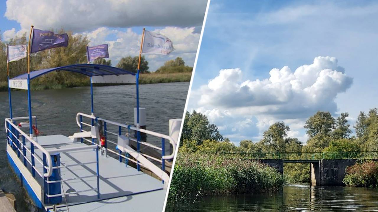 Een veerdienst moet de gemeenten Drimmelen, Altena en Geertruidenberg verbinden met de Hofmansplaat in de Biesbosch (foto's: Omroep Brabant en VVV Drimmelen)