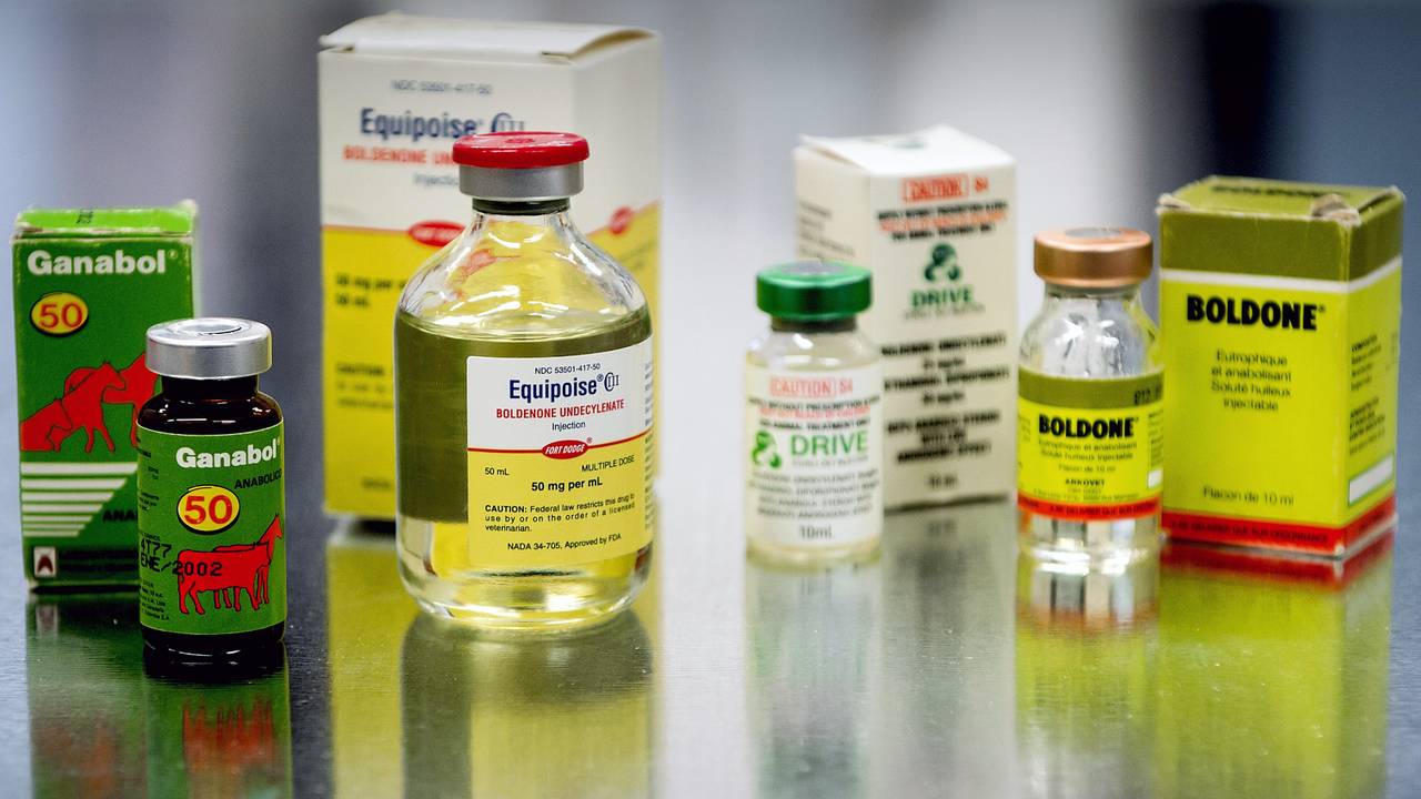 Sporters gebruiken minder anabolen door begeleiding van Tilburgse internist  - Omroep Brabant