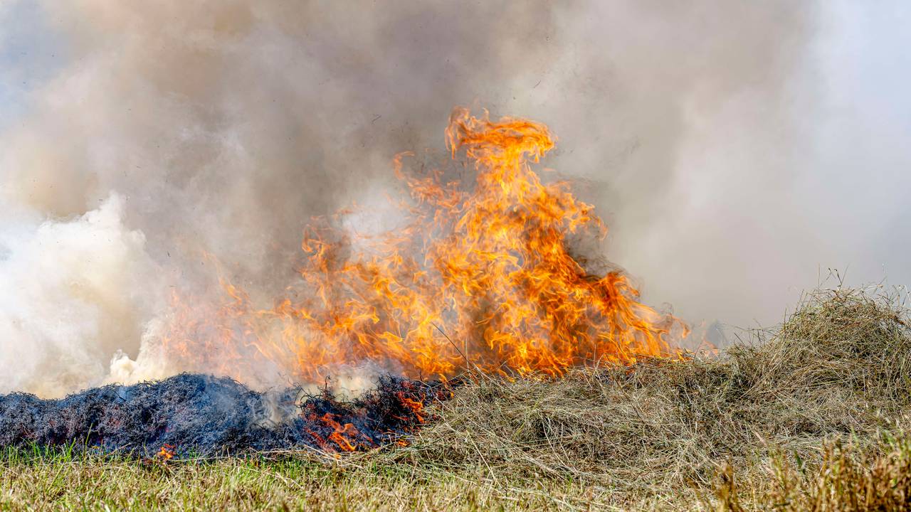 Bij de brand in Den Hout ging een groot deel van het net gemaaide gras in rook op (foto: Marcel van Dorst/Eye4Images).