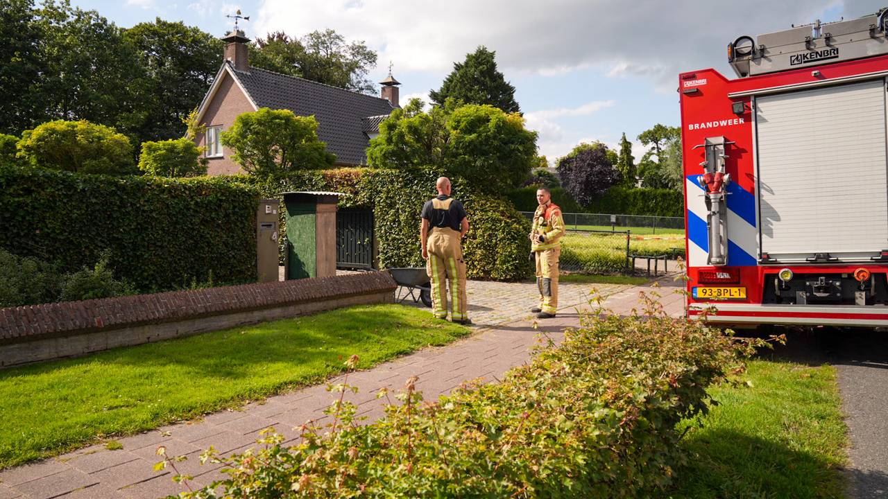 Foto: Harrie Grijseels / SQ Vision 