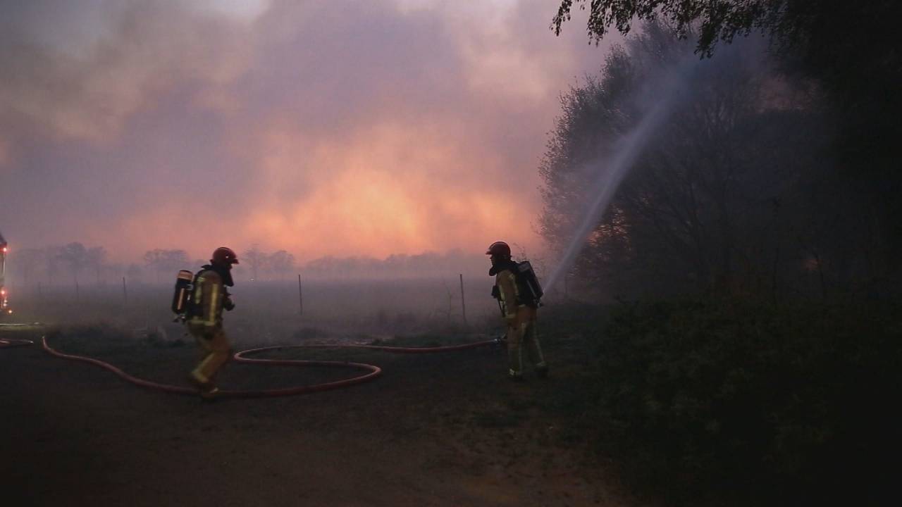 Bosbrand in Brabant