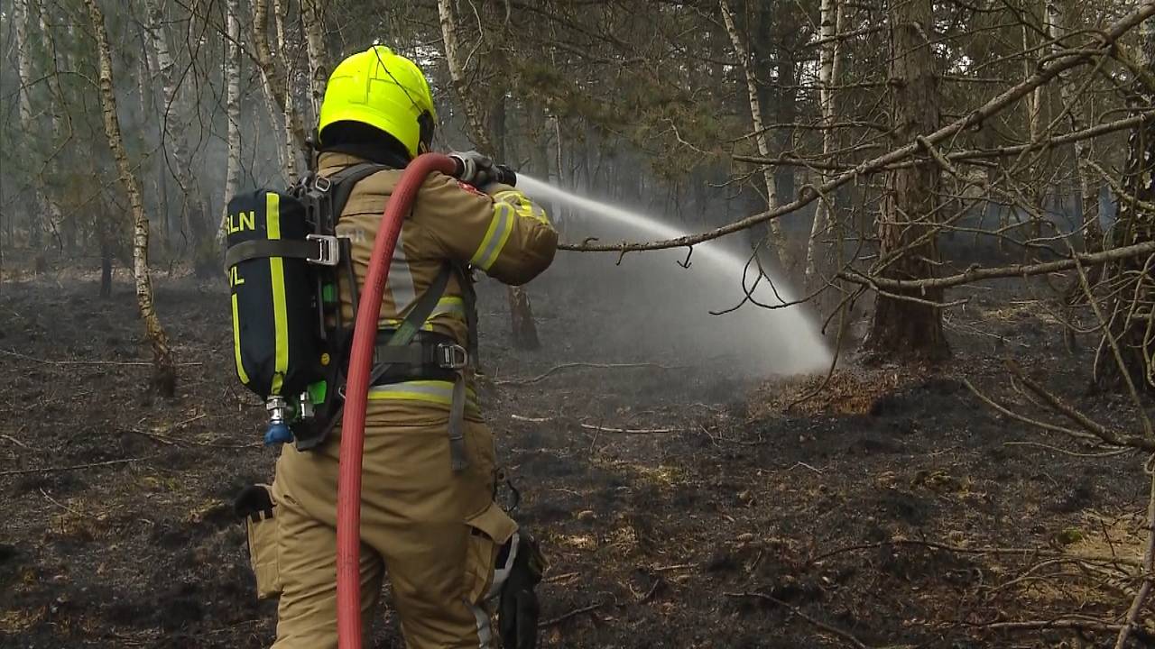 Bosbrand in Brabant