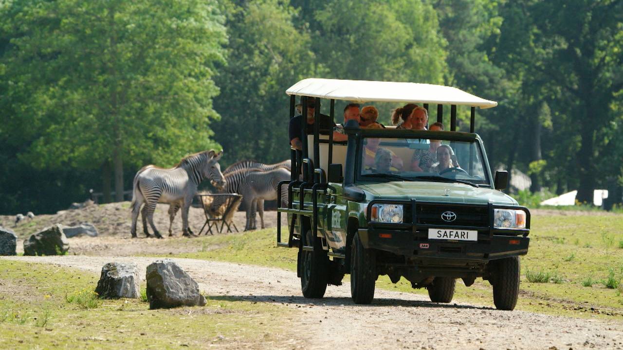 Op Safari