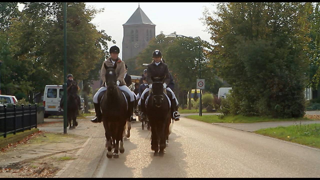 Het wonder van Weebosch