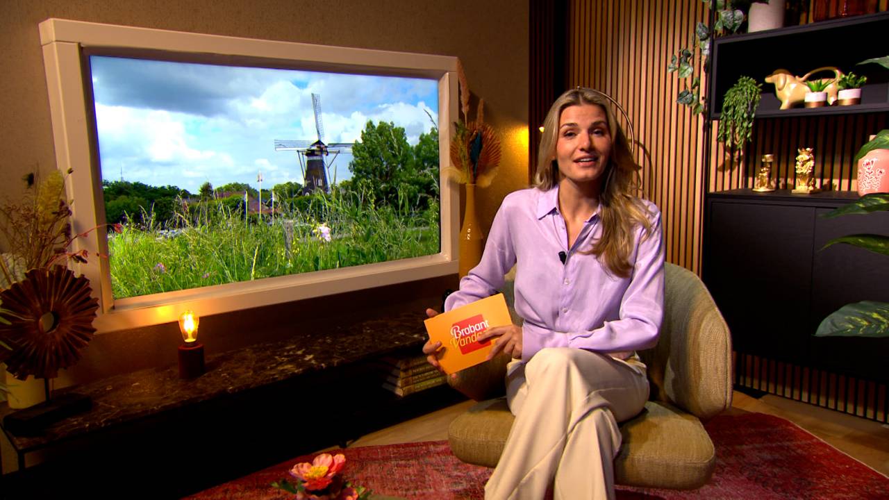 Brabant Vandaag
