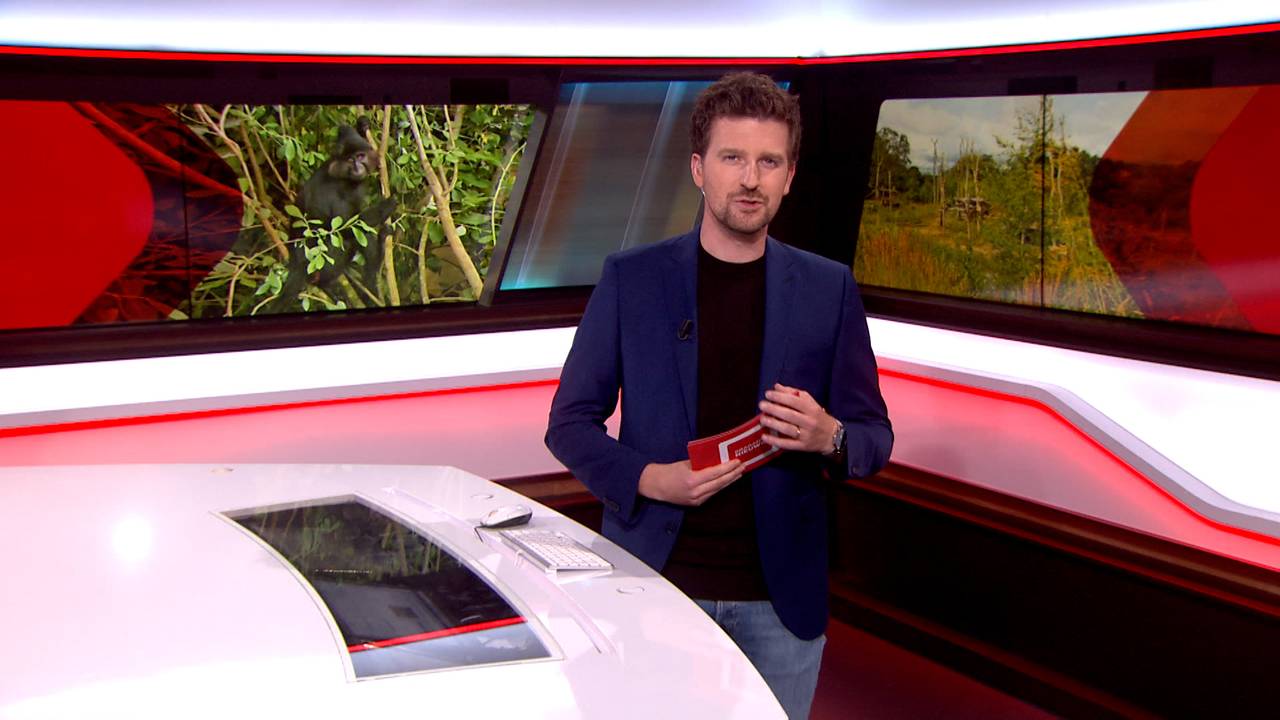 Brabant Nieuws