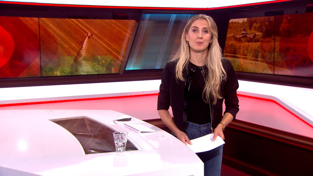 Brabant Nieuws