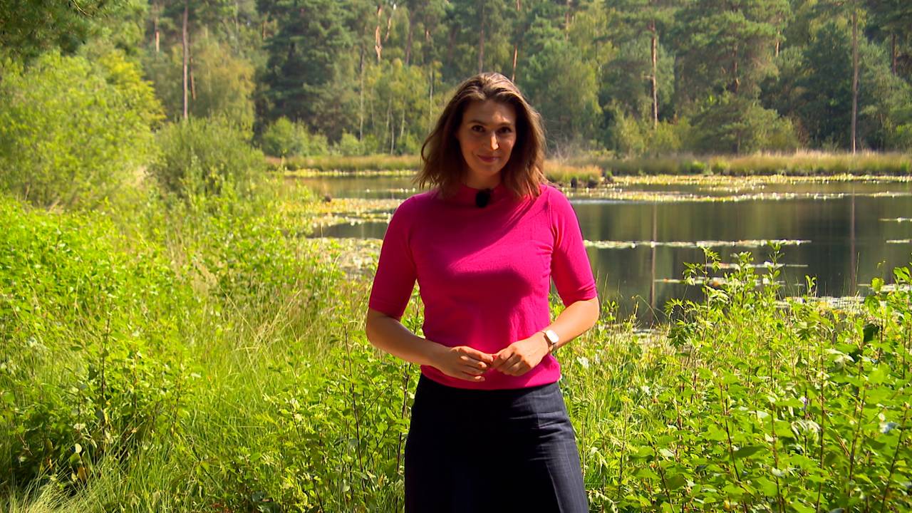 Het Beste van Brabant