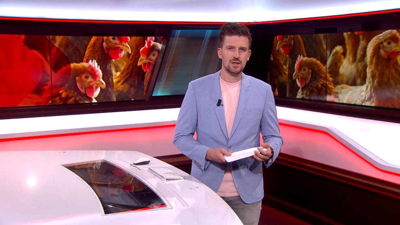 Brabant Nieuws