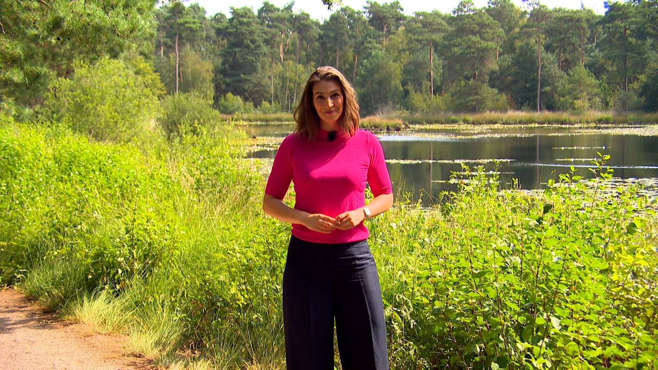 Het Beste van Brabant