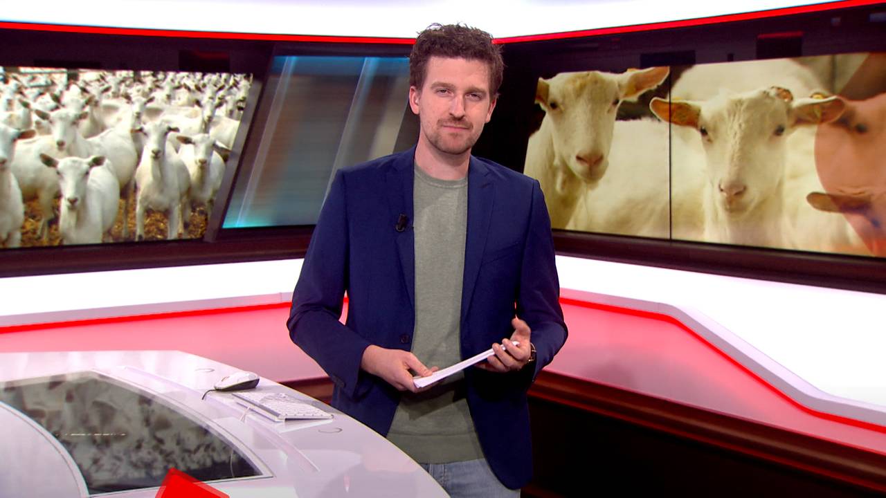 Brabant Nieuws