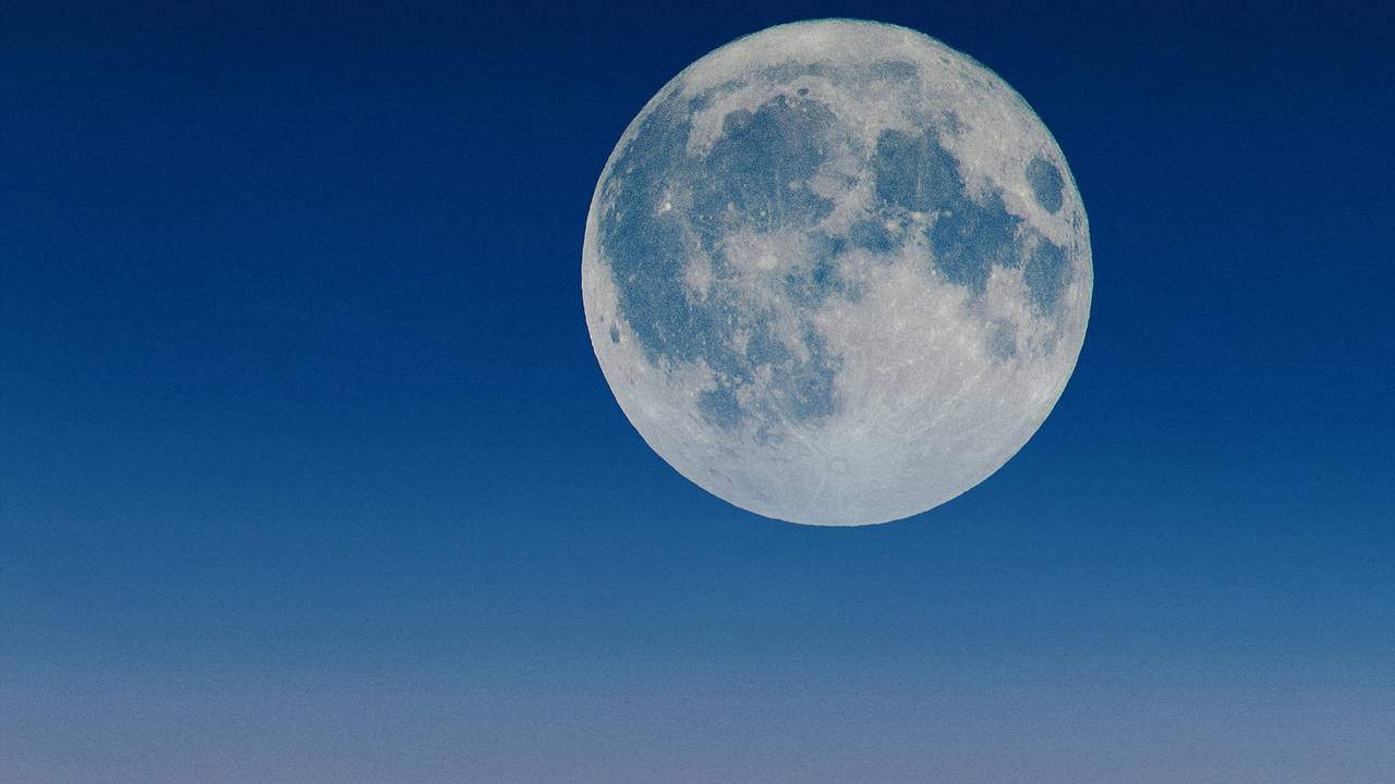 Een doorlopende herhaling van de programma's die de avond ervoor op Omroep Brabant TV zijn uitgezonden.