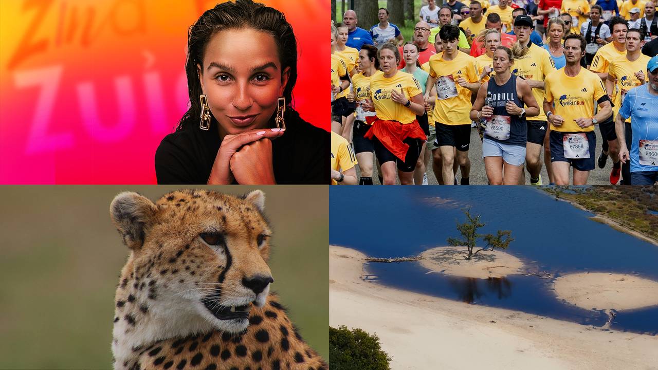 Omroep Brabant maakt ieder jaar een boeket aan verschillende mooie programma's en in het programma Blik Vooruit kijken we vooruit op een aantal van deze mooie programma's. In dit 10 minuten durende programma komt een selectie van de beste en meest populaire programma's van 2025 voorbij. Zo zal er aandacht zijn voor: het nieuwe programma De Stort waarin de milieustraat van Eindhoven centraal staat, is er aandacht voor mooie Brabantse Merken en staat onder andere de nieuwe talkshow Vrijdag centraal.